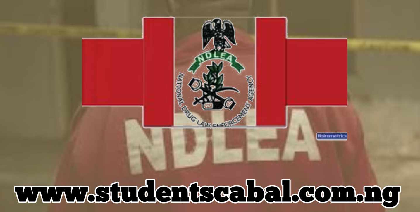 NDLEA Salary and Rank 20224/2025 | NDLEA SALARY FOR BSC | NDLEA Salary for SSCE certificate